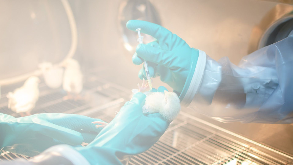 Контроль на цільових тваринах