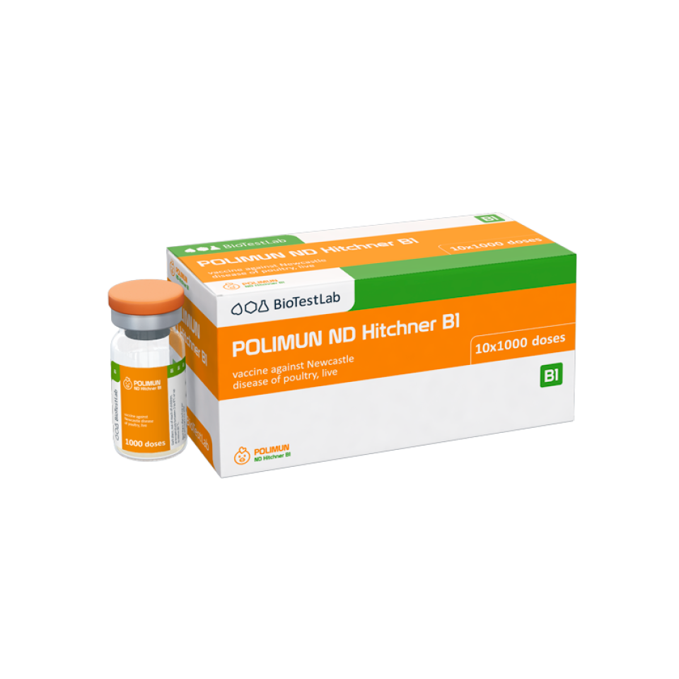 POLIMUN ND HITCHNER B1