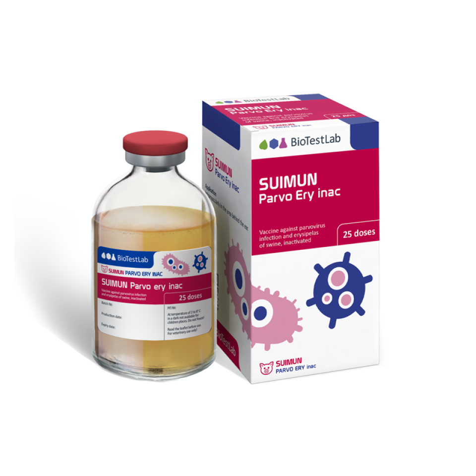 SUIMUN PARVO ERY ІNAC